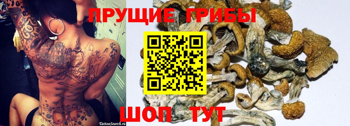 Псилоцибиновые грибы ЛСД  Псилоцибиновые грибы Psilocybe  Заволжье  Вход с VPN 