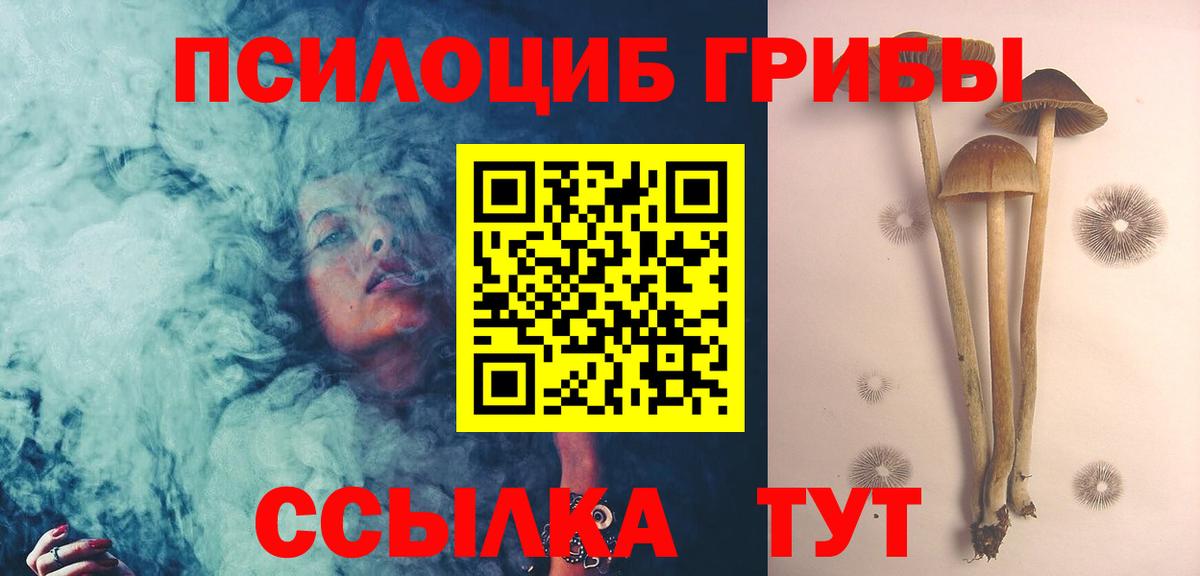 Галлюциногенные грибы мухоморы Заволжье